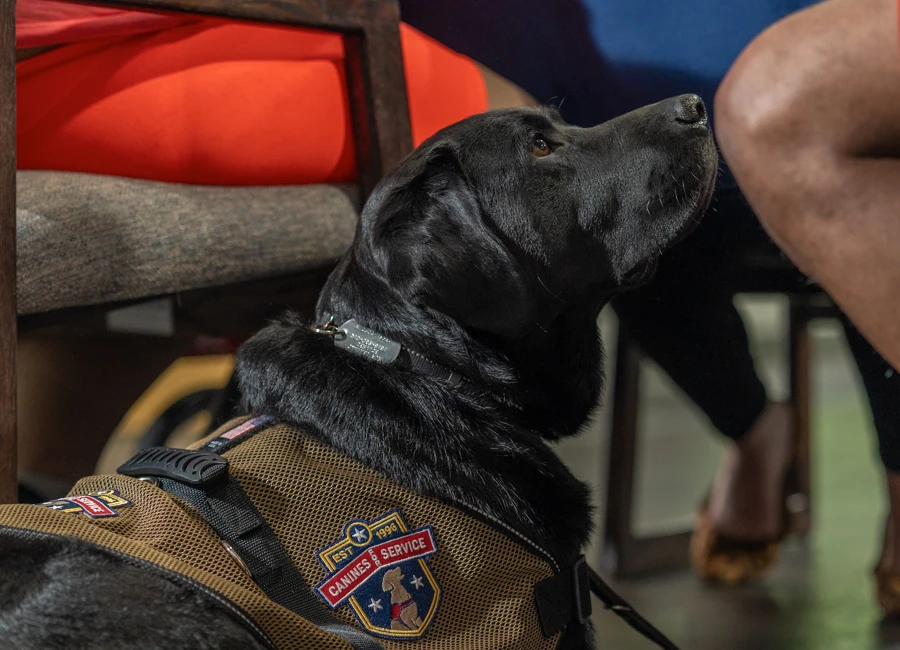 Serving Those Who’ve Served